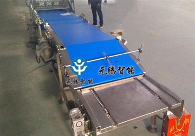 CA88智能-刀口皮带输送机