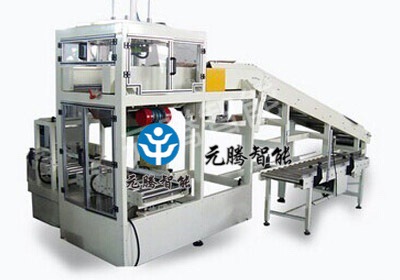 袋装产品装箱机