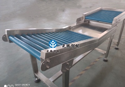 包胶无动力输送机